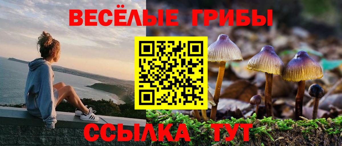 Галлюциногенные грибы MAGIC MUSHROOMS Пушкино