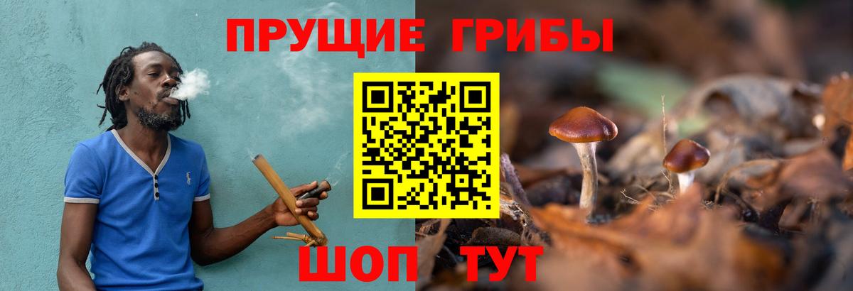 Пушкино  Галлюциногенные грибы прущие грибы  Вход с VPN 