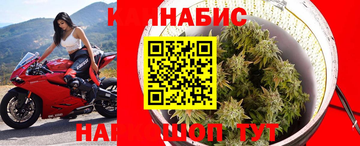 Пушкино  Каннабис ГИДРОПОН  Марихуана MAZAR  Вход с VPN  Канабис Bruce Banner 